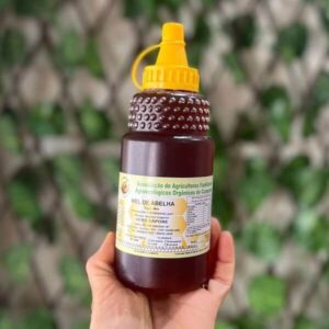 Mel Puro Silvestre Orgânico Cooperativa 400ml