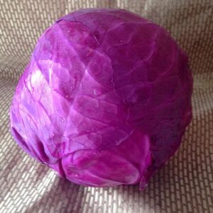 Repolho Roxo MIÚDO Orgânico Und