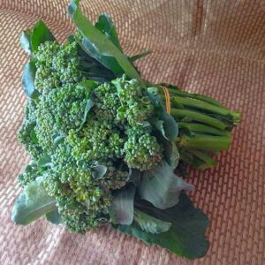 Brócolis Comum orgânico Mç