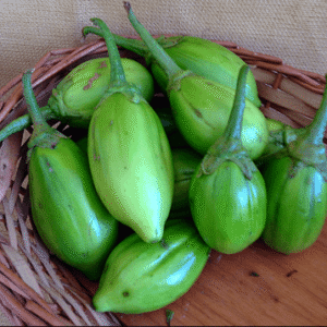 Jiló Orgânico 500g