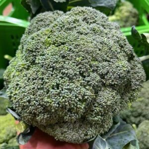Brócolis Japonês Orgânico UNID