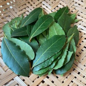 Louro em Folhas Orgânico 10g