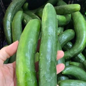 Pepino JAPONÊS Orgânico aprox 700g