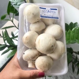 Cogumelos Paris Frescos Sitio Antares bandeja 200g
