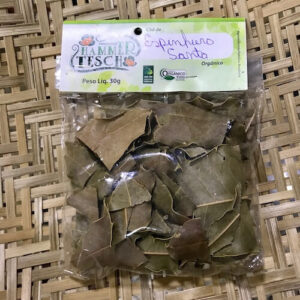 Chá de Espinheira Santa Orgânica Hammer Tesch 30g
