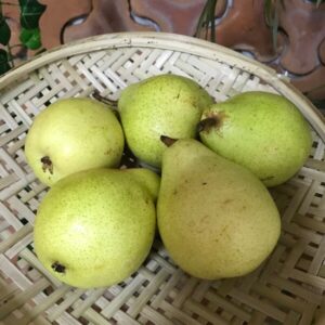 Pera Danjou Orgânica aprox 500g