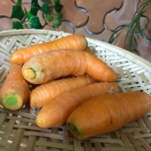 Cenoura SEM RAMA Orgânica 500g