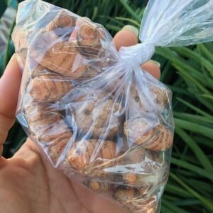 Açafrão/ Cúrcuma em RAÍZ Orgânico 100g