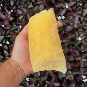 Polpa Pura Laranja Pera Orgânica aprox 250g