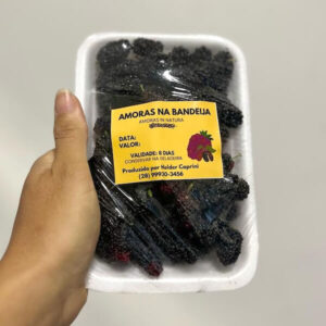 Amora Orgânica (amorinha) Congelada 250g