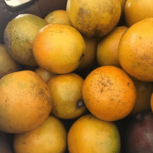 Laranja Pera Orgânica 1kg