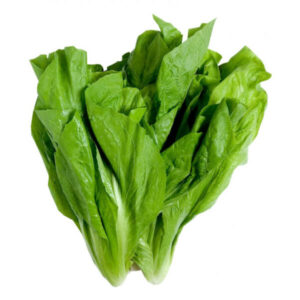 Almeirão Verde orgânico Mç