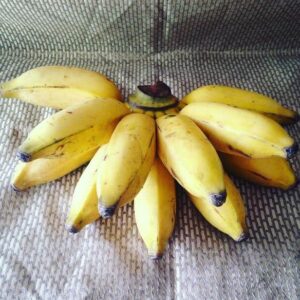 Banana Prata Orgânica 1Kg