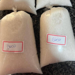 Polpa Pura Leite de Coco Orgânico aprox 300g