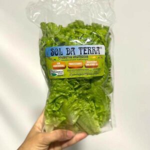 Linha Prática Alface Crespa Org. e Higienizada 100g Sol da Terra