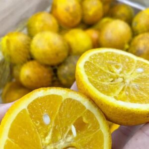 Laranja Valência Orgânica 1kg