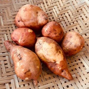 Batata Doce LARANJA Orgânica 500g