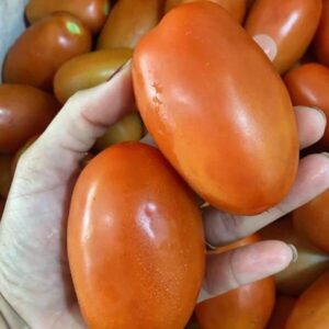Tomate Italiano Orgânico aprox 500g