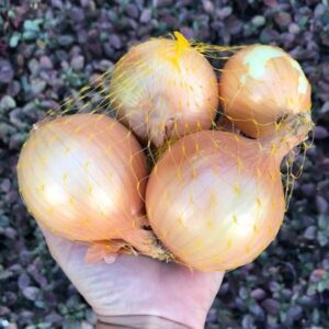 Cebola Grande Orgânica aprox 500g