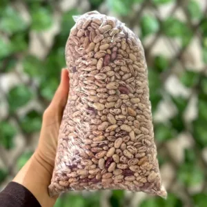 Feijão Manteigão Colorido Orgânico 1Kg